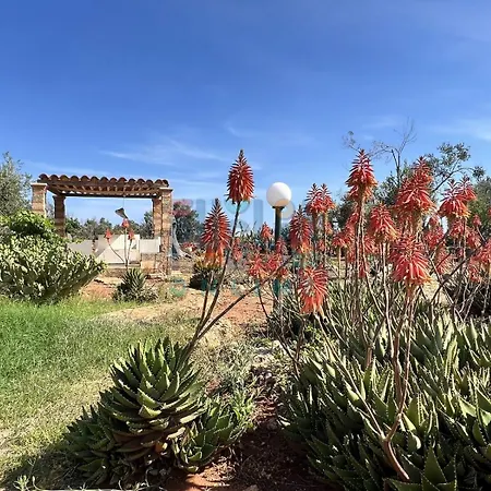 Trulli In Regno Dei Cieli Con Piscina Hotel 3*